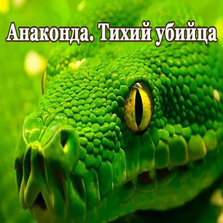 Анаконда. Тихий убийца / Anaconda. Silent Killer (2014) HDTVRip-720p