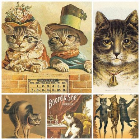 Обложка Винтажные открытки с котами