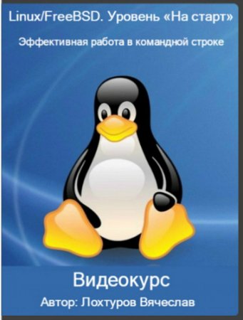 Обложка Linux/FreeBSD. Уровень «На старт». Эффективная работа в командной строке (2016) Видеокурс