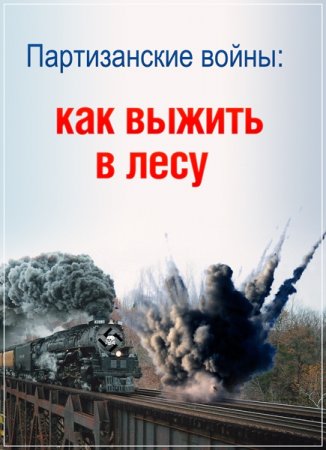 Обложка Партизанские войны: как выжить в лесу (2016) SATRip