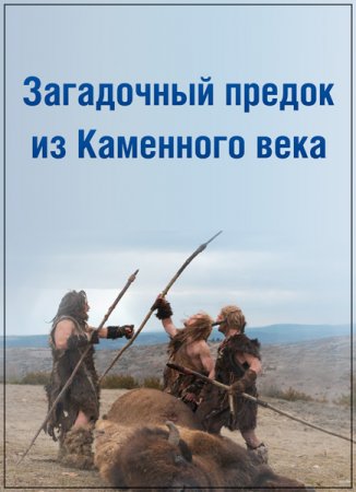 Обложка Загадочный предок из Каменного века / Enigma Man A Stone Age Mystery (2014) SATRip