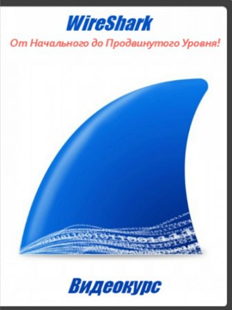 Обложка WireShark: От Начального до Продвинутого Уровня! (2017) Видеокурс