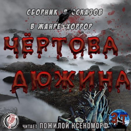 Обложка Чертова дюжина (сборник) (Аудиокнига)