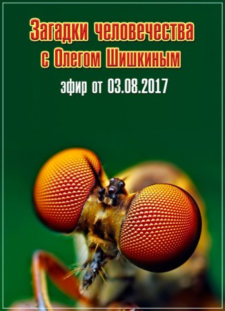 Обложка Загадки человечества с Олегом Шишкиным (03.08.2017) SATRip