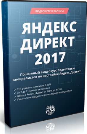 Обложка Яндекс.Директ 2017. Пакет VIP (2017) Видеокурс