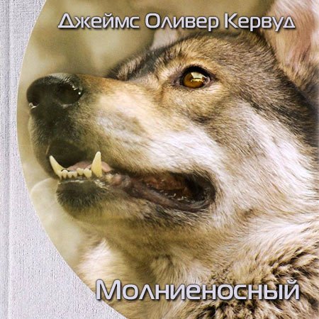 Обложка Джеймс Оливер Кервуд - Молниеносный (Аудиокнига)