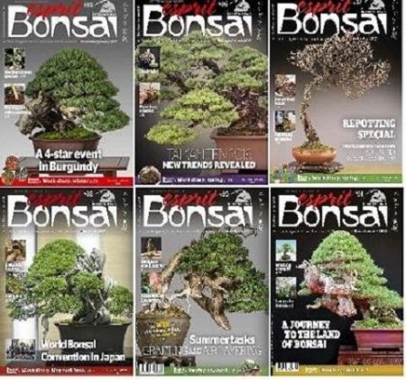 Обложка Подшивка журнала - Esprit Bonsai International (January-December 2017) PDF. Архив 2017