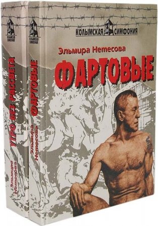 Обложка Эльмира Нетесова в 41 книге (1989-2010) FB2