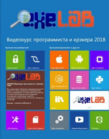 Обложка eXeLaB - Видеокурс программиста и крэкера (2018)