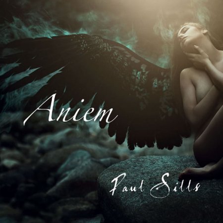 Обложка Paul Sills - Aniem (2018) FLAC