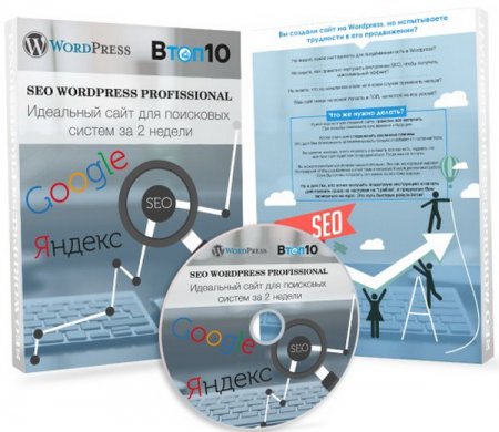 Обложка SEO wordpress professional (Видеокурс)