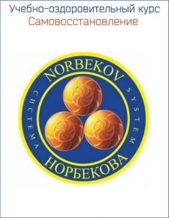 Обложка Учебно-оздоровительный курс. Самовосстановление (Видеокурс)