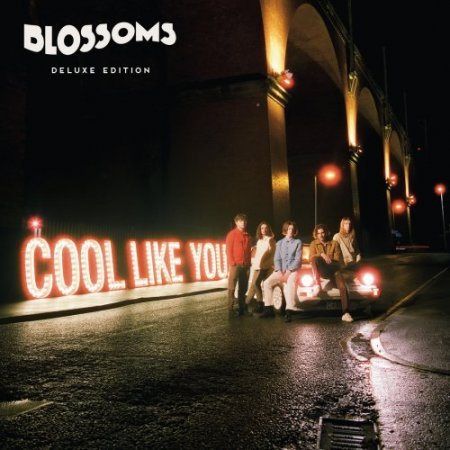 Обложка Blossoms - Cool Like You (2CD) (Deluxe Edition) FLAC