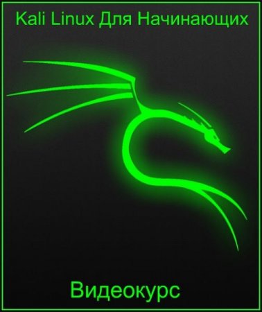 Обложка Kali Linux Для Начинающих (Видеокурс)