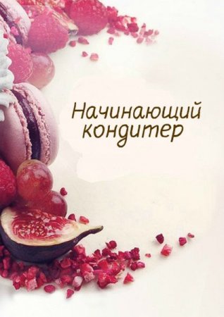 Обложка Начинающий кондитер (Видеокурс)