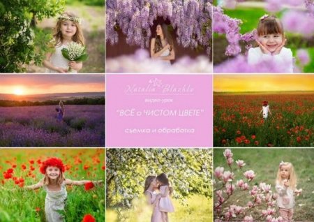 Обложка Всё о чистом цвете (2019) Видеоурок