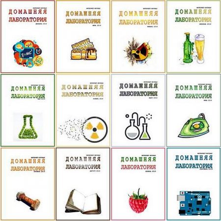 Обложка Подшивка журнала - Домашняя лаборатория №1-12 (январь-декабрь 2019) DjVu. Архив 2019