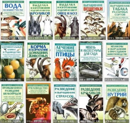 Обложка Приусадебное хозяйство в 65 книгах (2001-2006) PDF