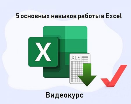 Обложка 5 основных навыков работы в Excel (Видеокурс)