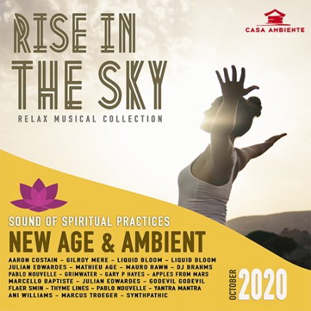 Обложка Rise In The Sky (2020) Mp3