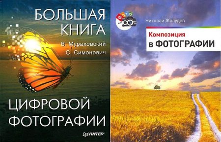 Обложка Цифровое фото на 100% - Серия из 2 книг (PDF, DJVU)