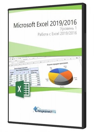 Обложка Microsoft Excel 2019/2016. Уровень 1. Работа с Excel 2019/2016 (2020) Видеокурс