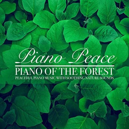 Обложка Piano Peace - Piano of the Forest (2021) FLAC