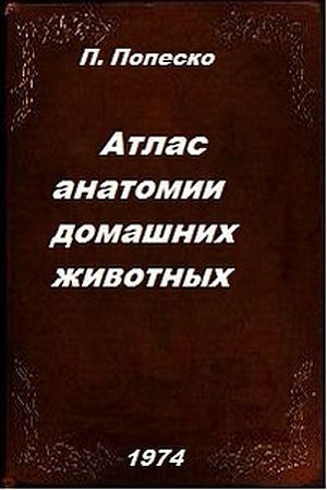 Обложка Атлас анатомии домашних животных в 3 томах / Пётр Попеско (DjVu)