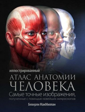 Обложка Иллюстрированный атлас анатомии человека / Беверли МакМиллан (PDF)