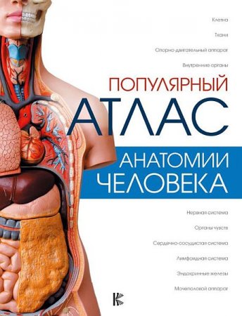 Обложка Популярный атлас анатомии человека / Л.Н. Палычева, Н.В. Лазарев (PDF)