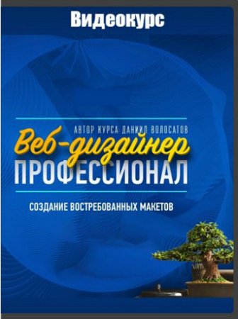 Обложка Веб-дизайнер - профессионал. Создание востребованных макетов (Видеокурс)