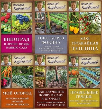 Обложка Дачная школа Николая Курдюмова в 19 книгах (FB2)