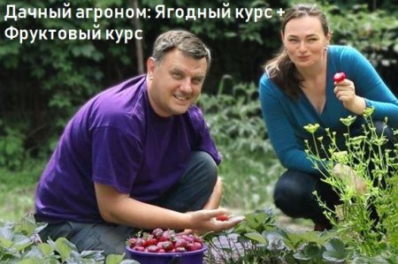 Обложка Дачный агроном: Ягодный курс + Фруктовый курс (2022) Видеокурс