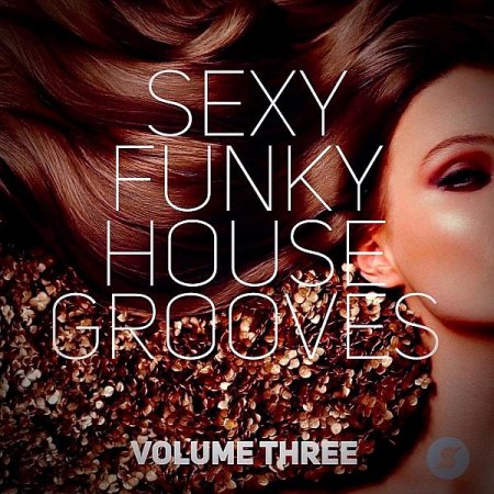 Обложка Sexy Funky House Grooves Volume Three (2023) Mp3
