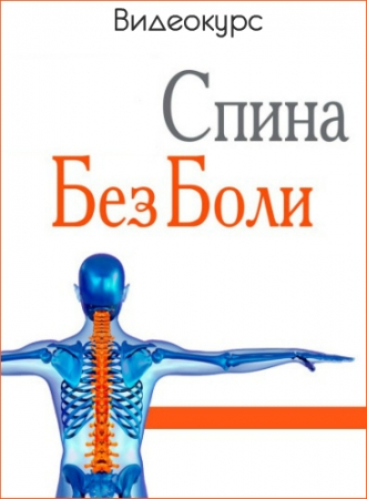 Обложка Спина Без Боли. Терапевтические Упражнения (Видеокурс)