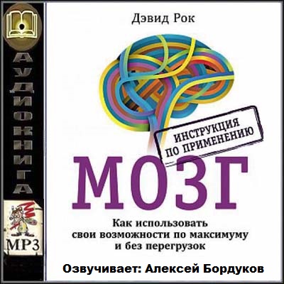 Дэвид Рок - Мозг. Инструкция по применению (Аудиокнига)