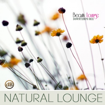 Обложка Natural Lounge Music (Mp3)