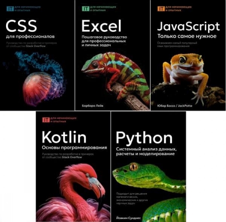 Обложка IT для начинающих и опытных в 5 книгах (2025) PDF